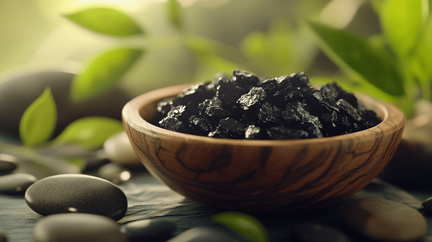Shilajit et récupération